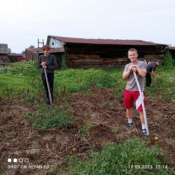 Субботник по уборке урожая.